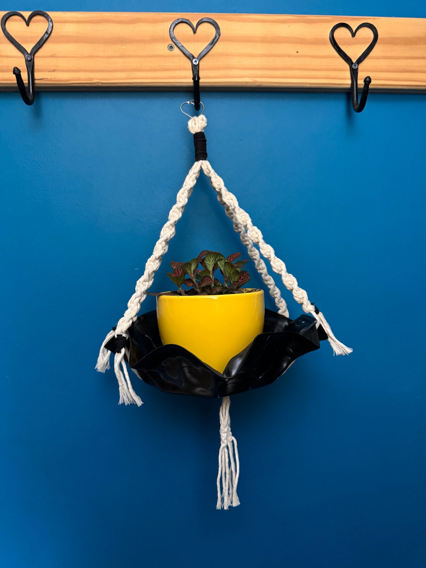 Plant Hangers