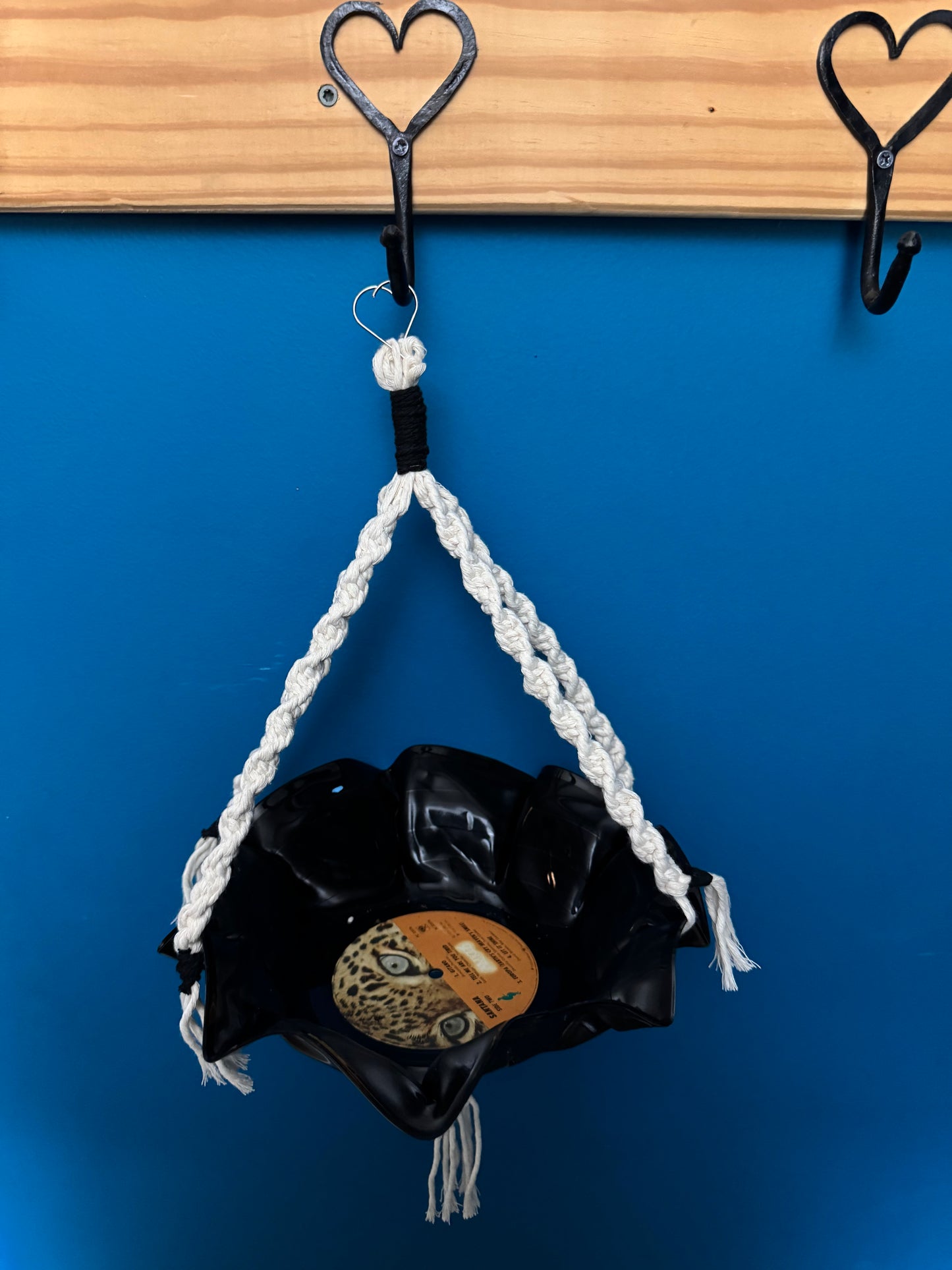 Plant Hangers