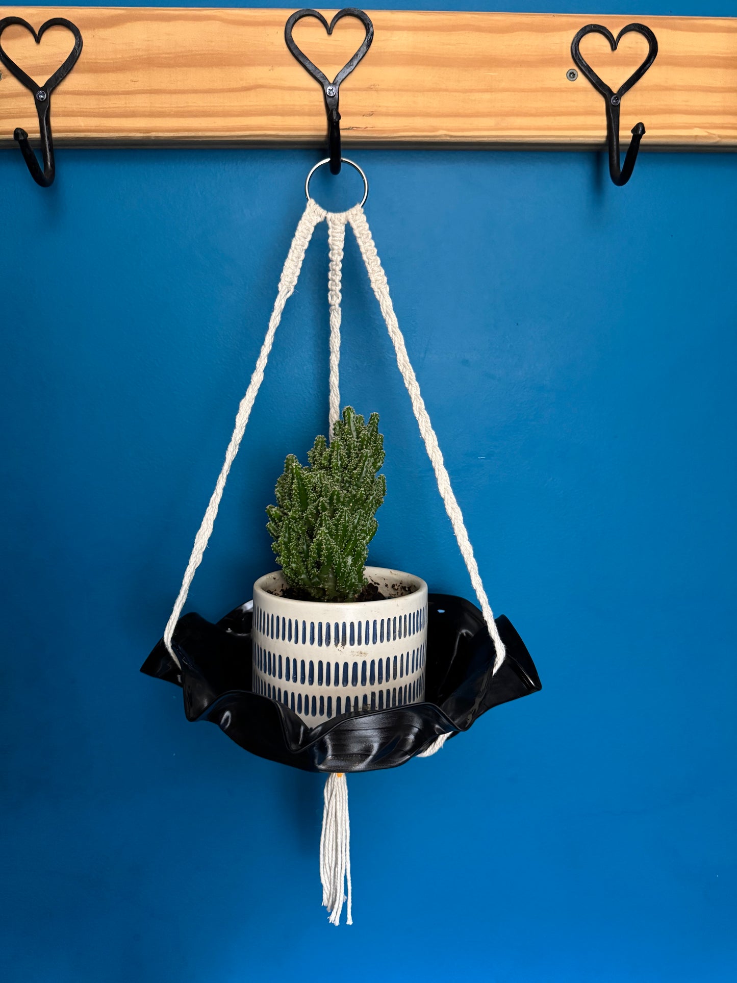Plant Hangers