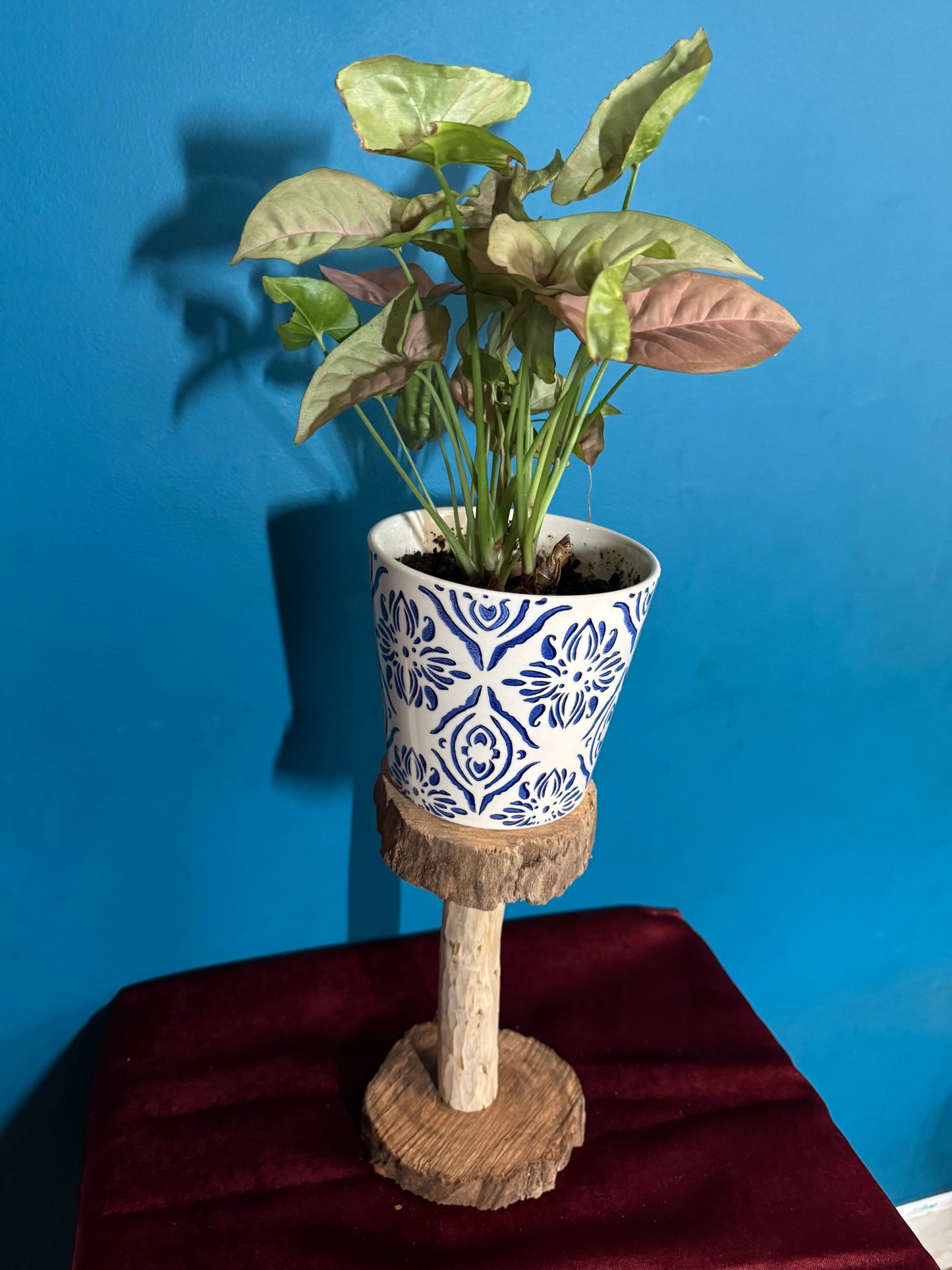 Plant Stands