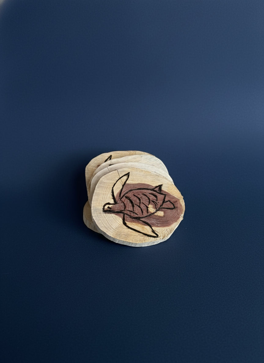 Ocean Drift Sea Turtle Coasters
