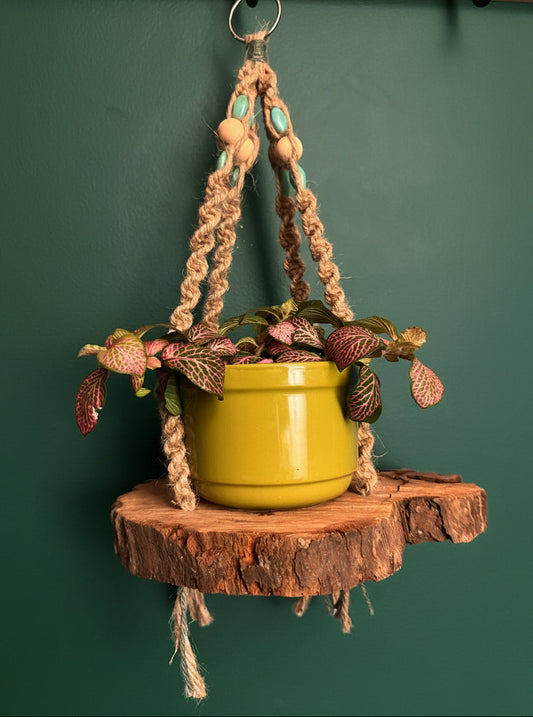 NestKnot Plant Hanger