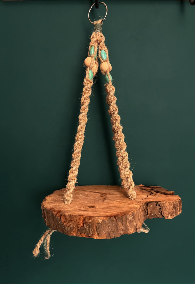 NestKnot Plant Hanger