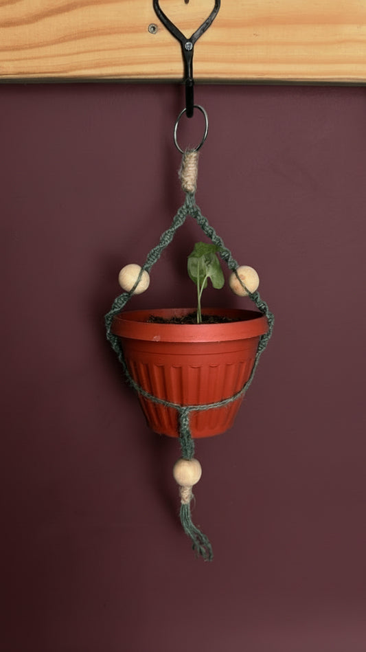 Eco Chic Plant Hanger