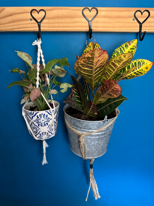 Large Plant Hanger
