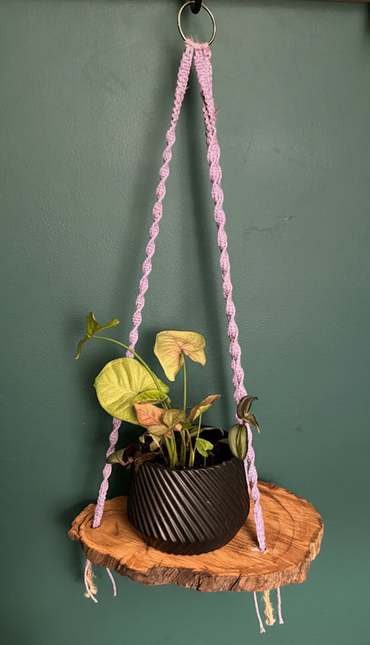 Rustic Lavender Plant Hanger