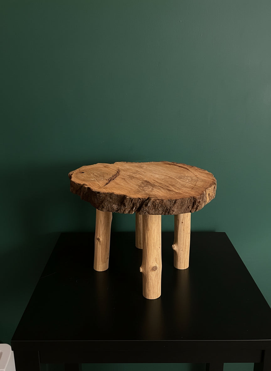 Nature’s Plant Pedestal