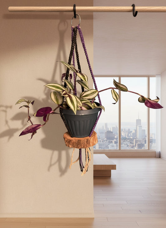 Purple Perch Plant Hanger