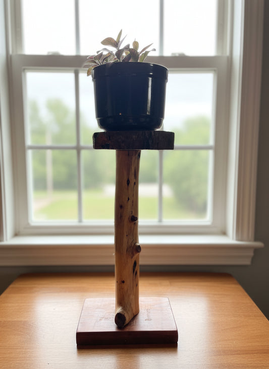 CedarCharm Plant Stand