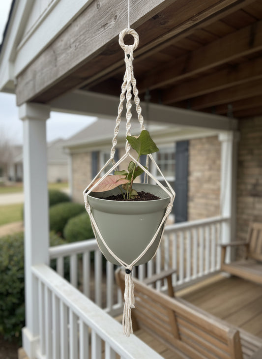 Snowdrop Macrame Plant Hanger